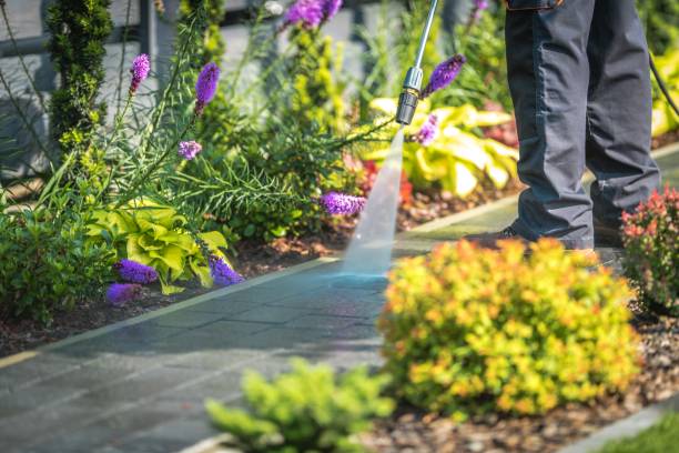 Best Spring Cleaning  in Daytona Beach Shores, FL