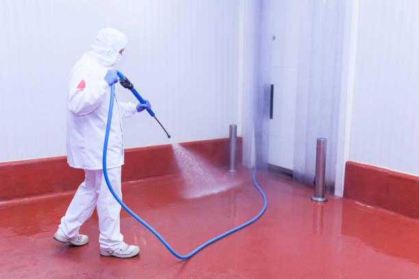 Best Warehouse Cleaning  in Daytona Beach Shores, FL